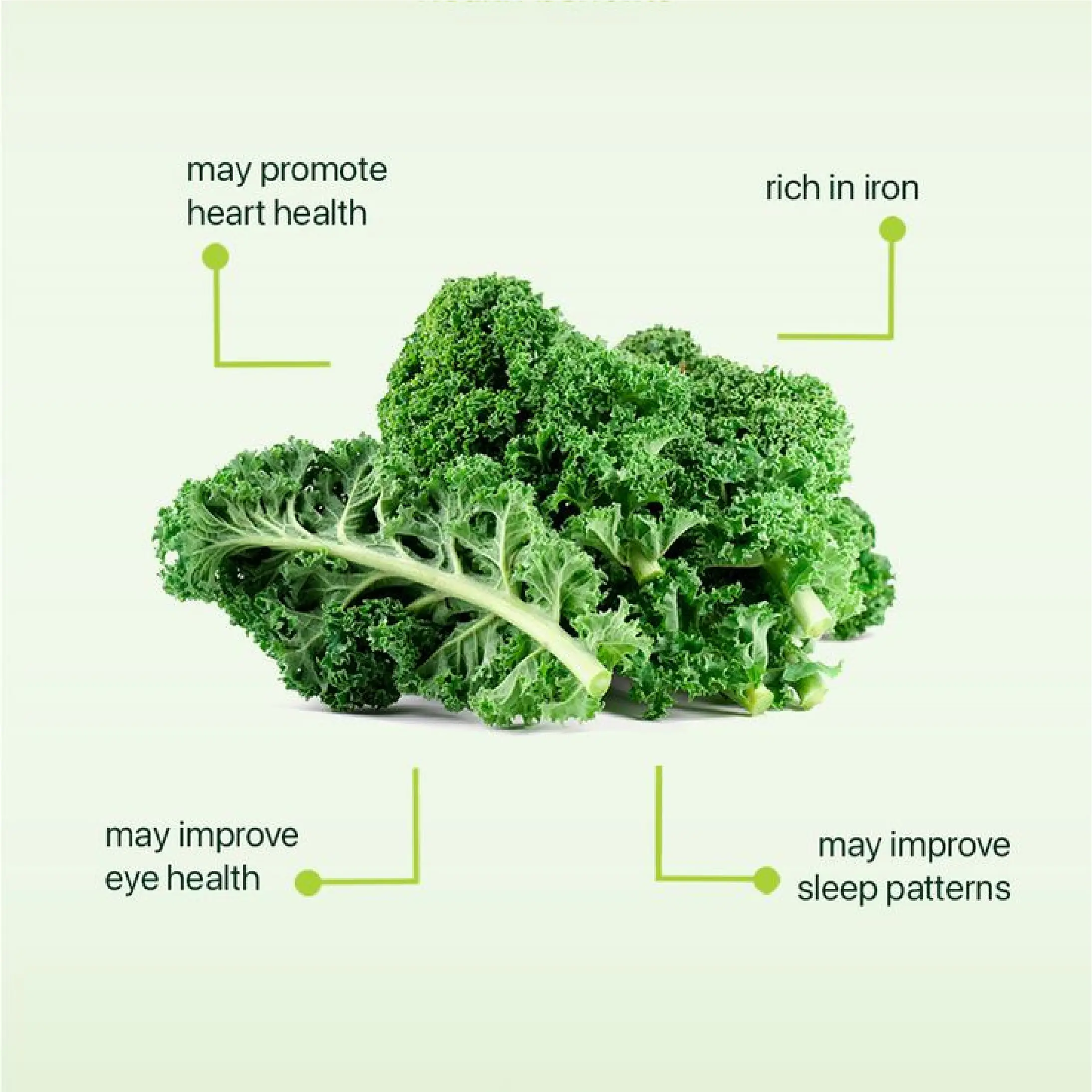 Green Proteins